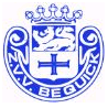 ZVV Be Quick
